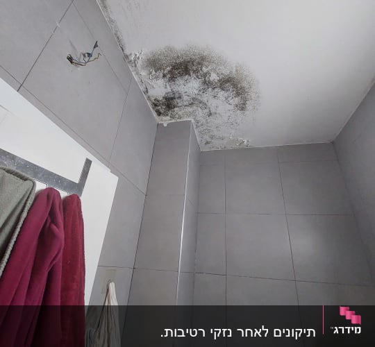 תקרה עם עובש ואריחים אפורים, חוטי חשמל חשופים